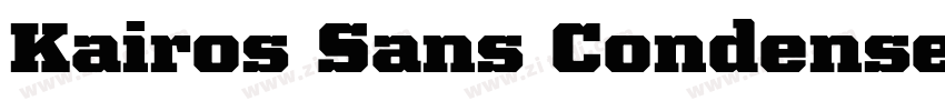 Kairos Sans Condense字体转换 Kairos Sans Condense字体转换